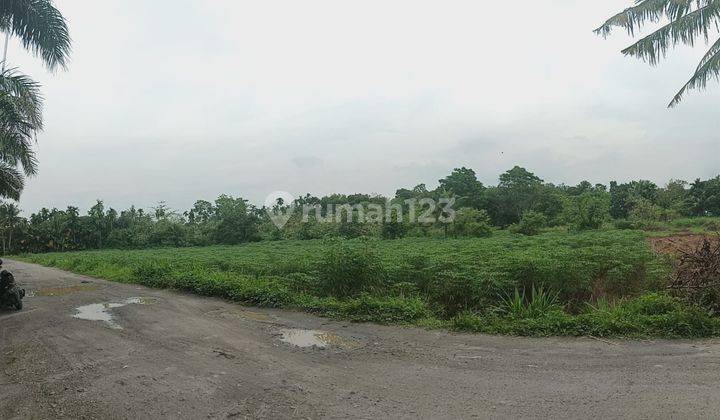 Tanah di Mencirim Glugur Rimbun, Kutalimbaru, Deli Serdang SHM 1
