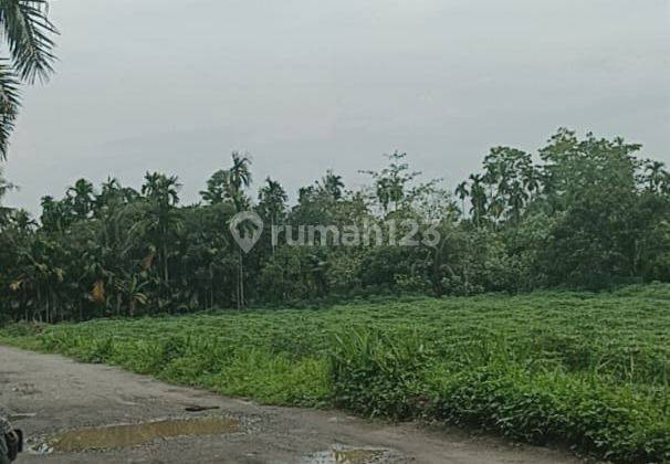Tanah di Mencirim Glugur Rimbun, Kutalimbaru, Deli Serdang SHM 2