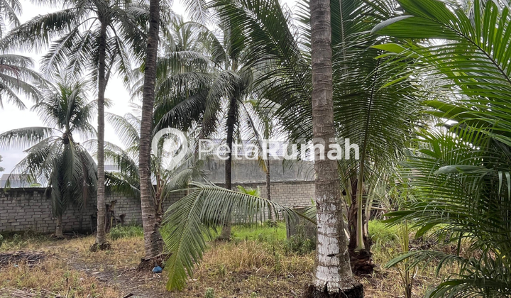 FOR SALE LAND ON METEOROLOGI VII STREET - PANCING AREA FOR SALE LAND ON METEOROLOGI VII STREET - PANCING AREA