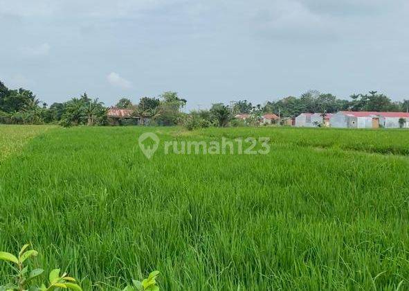 Dijual 2 Bidang Tanah Luas Sertifikat SHM Di Jl Pancasila Paya Gambar 1