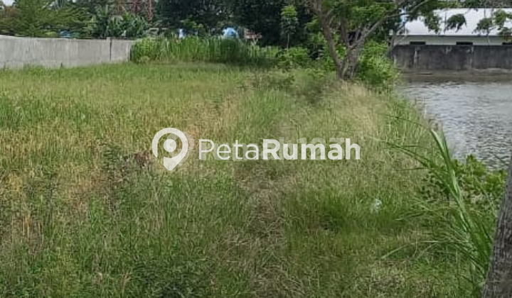 Dijual Tanah Jalan M Yusuf Jintan - Daerah Bagan Percut Dijual Tanah Jalan M Yusuf Jintan - Daerah Bagan Percut
