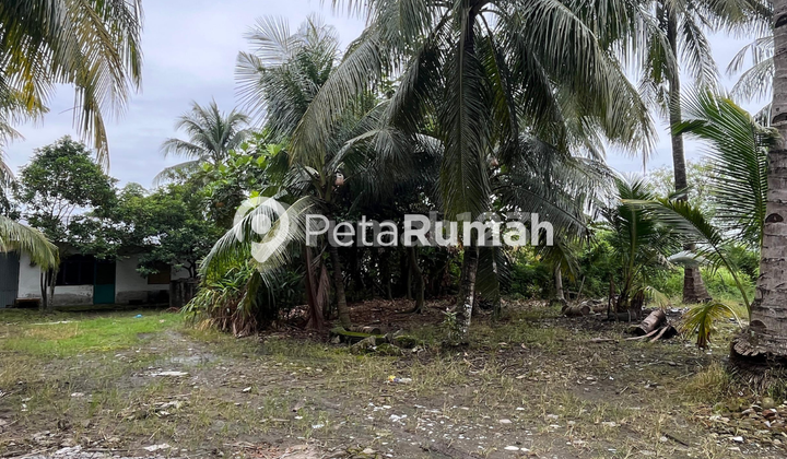 FOR SALE LAND ON METEOROLOGI VI STREET - PANCING AREA FOR SALE LAND ON METEOROLOGI VI STREET - PANCING AREA