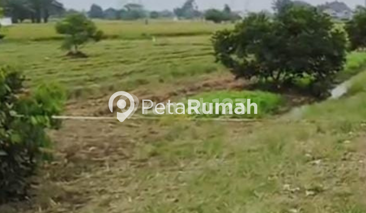 DIJUAL TANAH JL TRAKTOR GUDANG - DAERAH BINJAI  2
