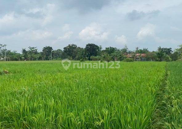 Dijual 2 Bidang Tanah Luas Sertifikat SHM Di Jl Pancasila Paya Gambar 2