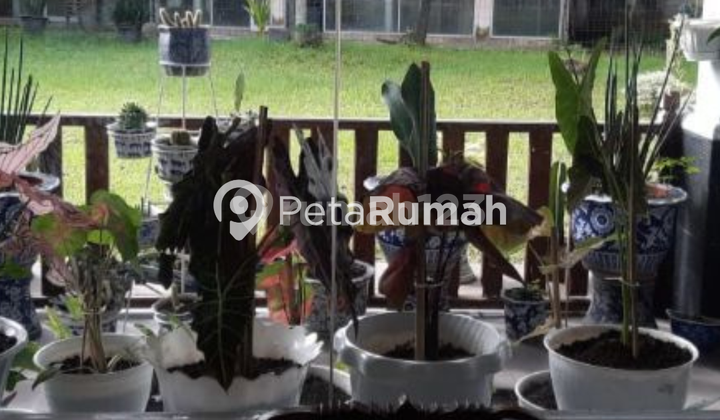 For Sale Land + House in Puri Tanjung Sari 3 Complex - Ringroad Area 2