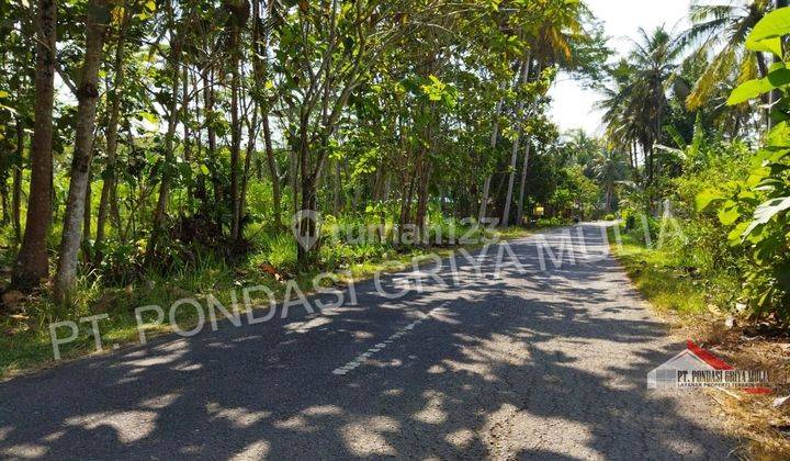 Rumah Baru SHM di Krembangan,kulon Progo Desain Etnik Jawa Modern 7