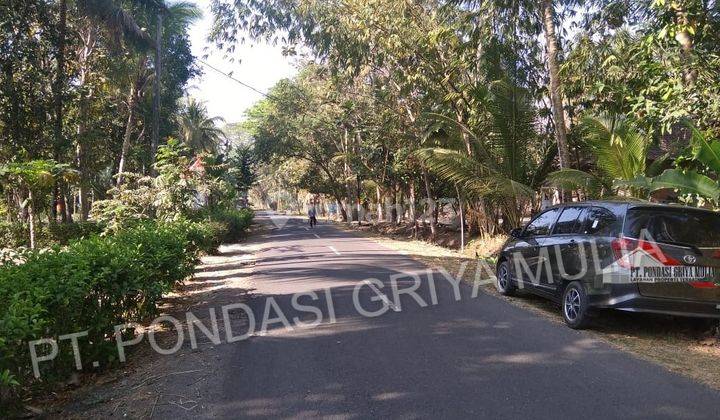 Rumah Baru SHM di Krembangan, Kulon Progo 8