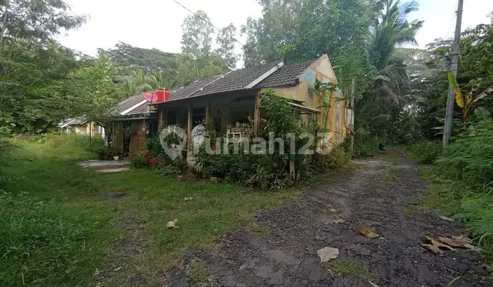 Cluster Di Krembangan Dekat Bandara Yia, Desain Minimalis
