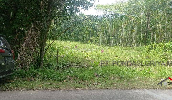 Investasi Di Panjatan Kulon Progo, Desain Etnik Jawa Modern 2
