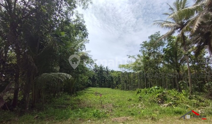 Rumah Di Krembangan Panjatan Kulon Progo Desain Etnik Jawa Modern 5