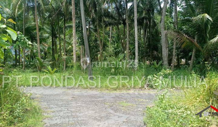 Minimalis Modern, Hanya 185 Juta Di Krembangan, Panjatan,  6