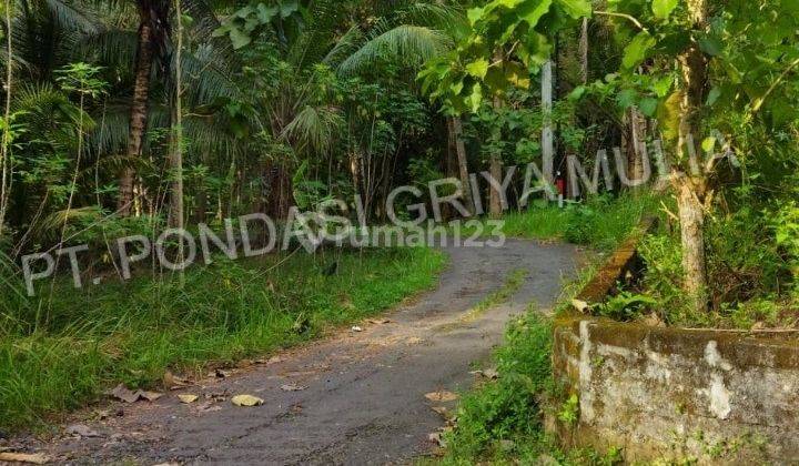 Rumah Baru Dekat Jalan Wates Area Pedesaan Asri 3