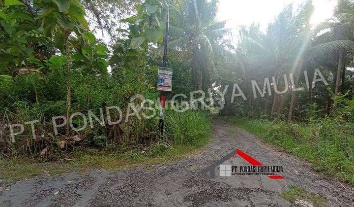 Rumah Baru Dekat Jalan Wates Area Pedesaan Asri 4