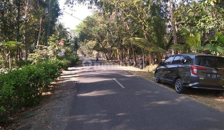 Rumah Modern Minimalis di Jogja Dekat Bandara Yia Kulon Progo 5