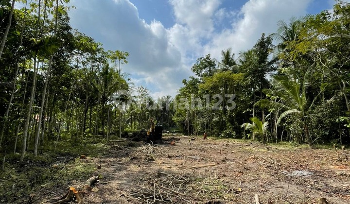 Rumah Modern Minimalis di Jogja Dekat Bandara Yia Kulon Progo 7