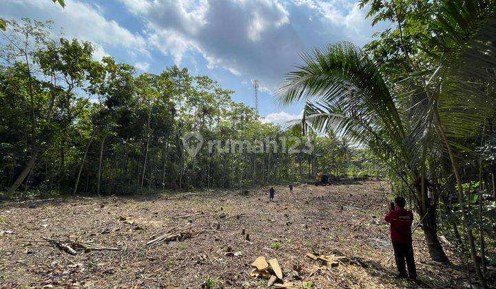Rumah Modern Etnik Jawa di Kulon Progo Dekat Bandara Yia 5