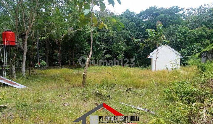 Rumah Komersil Murah di Krembangan Kulon Progo Dekat Bandara Yia 4