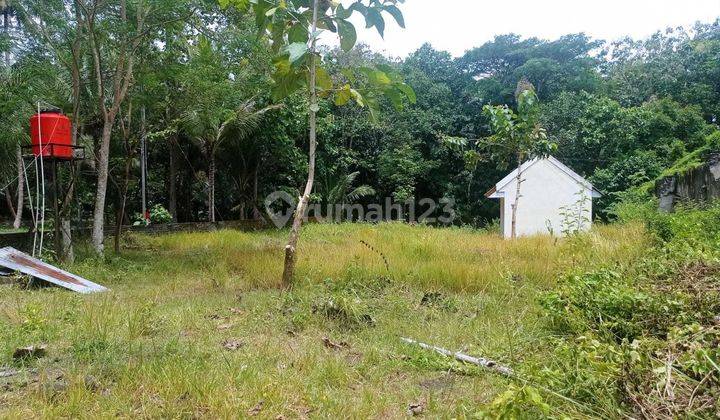 Rumah Murah Non Subsidi di Panjatan Kulon Progo Dekat Bandara Yia 2