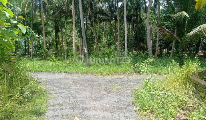 Rumah Murah 100jutaan di Krembangan Panjatan Kulon Progo Jogja 3