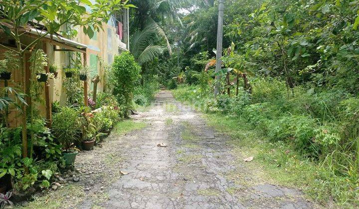Rumah Murah 100jutaan di Krembangan Panjatan Kulon Progo Jogja 4