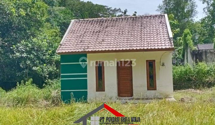 Rumah Murah 100jutaan di Krembangan Panjatan Kulon Progo Jogja 6