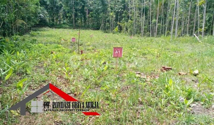 Hunian Jawa Klasik Di Kulon Progo Asri Sejuk Nyaman Bebas Polusi 6