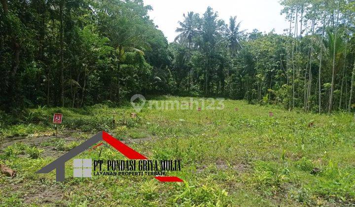 Cluster Cantik di Panjatan Kulon Progo, Harga 500jutaan 5