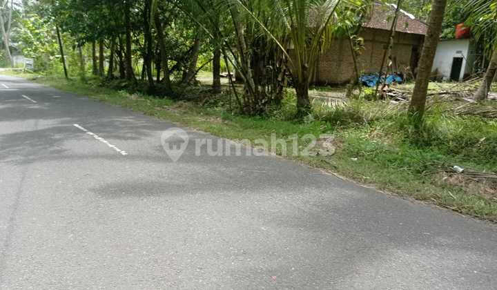 Rumah Strategis di Jogja Dekat Bandara Nyia Kulon Progo Wates 7