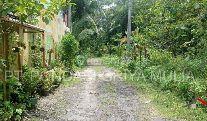 Rumah Murah Bukan Bukan Rumah Subsidi,dekat Bandara Yia,panjatan 5