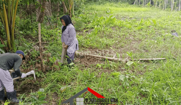 Rumah Impian Gaya Klasik di Panjatan Kulon Progo Jogja Dkt Yia 7