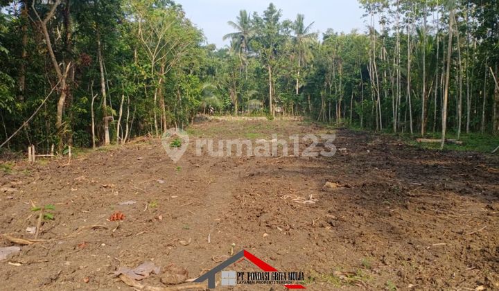 Rumah Impian Gaya Klasik di Panjatan Kulon Progo Jogja Dkt Yia 8