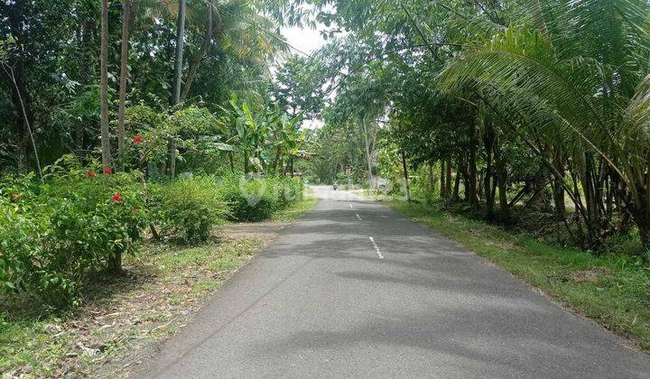 Pinggir Kota Jogja, Rumah Baru Di Area Pedesaan Asri Kulon Progo 2
