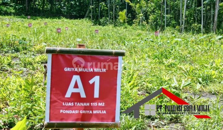 Rumah Klasik Asri Bisa Untuk Homestay di Kulon Progo Jogja 2
