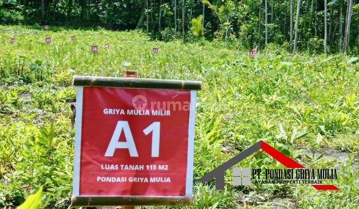 Rumah Etnik di Kulon Progo Dekat Bandara Yia Jogja Wates 2