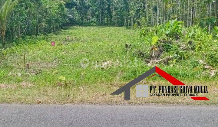 Etnik Jawa di Kulon Progo Dekat Bandara Yia View Pedesaan Asri 3