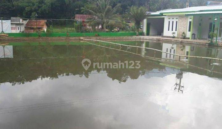 Rumah Dan Villa Cicalengka Dgn Kolam Ikan Luas Dekat Area Wisata 2