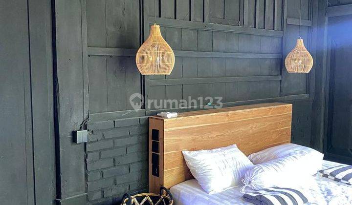 Fresh Brand New Villa for rent, padi field view  11