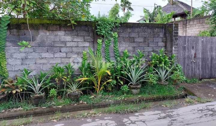 FREEHOLD LAND AT PERERENAN, GOOD LOCATION TO BUILD A VILLA OR GUESTHOUSE  8