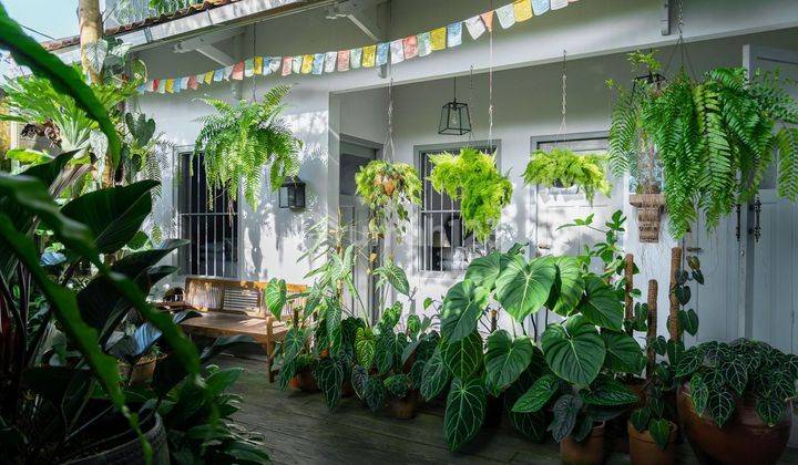 CLASSIC NEO COLONIAL HOUSE, FULLY FURNISHED FOR SALE  17