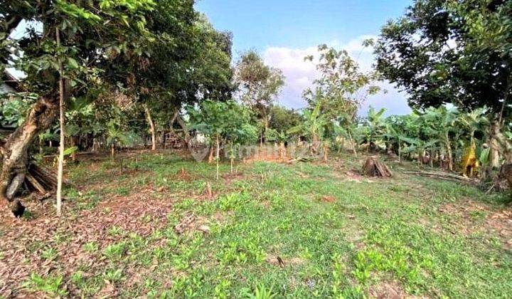 Dijual Lahan Dengan Harga Murah di Cibening Daerah Bekasi  4