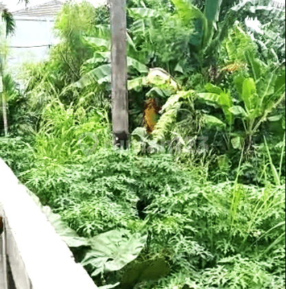 Dijual Lahan  Harga Murah di Pengasinan Bekasi Timur 5