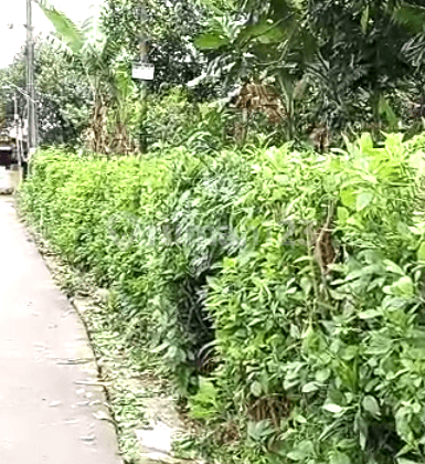 Dijual tanah  Harga Murah  Lokasi Strategis di Tambun Selatan  4