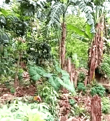 Dijual tanah  Harga Murah  Lokasi Strategis di Tambun Selatan  1