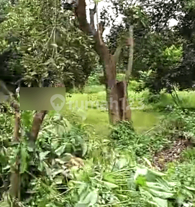 Dijual tanah  Harga Murah  Lokasi Strategis di Tambun Selatan  9