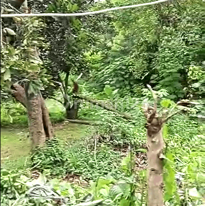 Dijual tanah  Harga Murah  Lokasi Strategis di Tambun Selatan  11