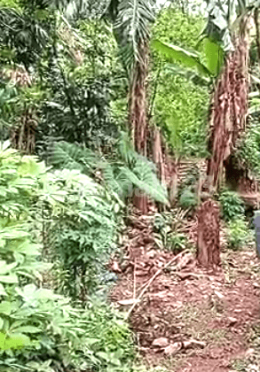 Dijual tanah  Harga Murah  Lokasi Strategis di Tambun Selatan  1