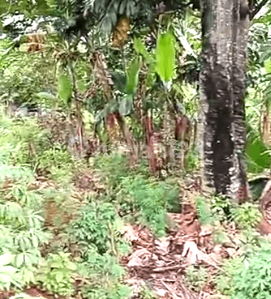 Dijual tanah  Harga Murah  Lokasi Strategis di Tambun Selatan  5