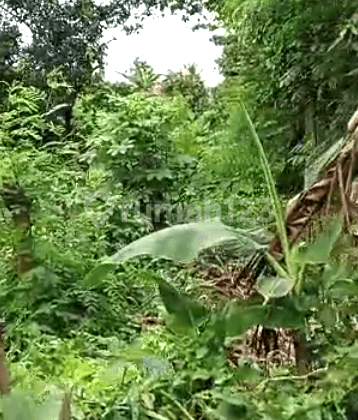 Dijual tanah  Harga Murah  Lokasi Strategis di Tambun Selatan  7