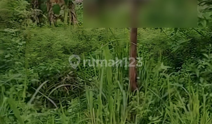 Dijual Tanah 2.300 m²  di Padurenan Bekasi 4