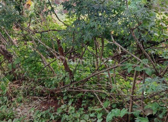 Dijual Tanah luas  996 M2 SHM di Kota Bekasi 6